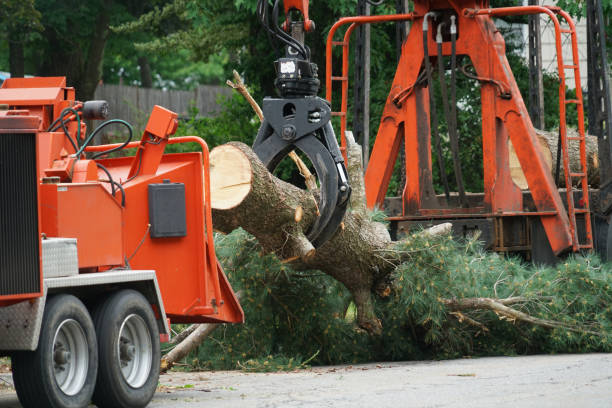 Best Weed Control  in Pana, IL